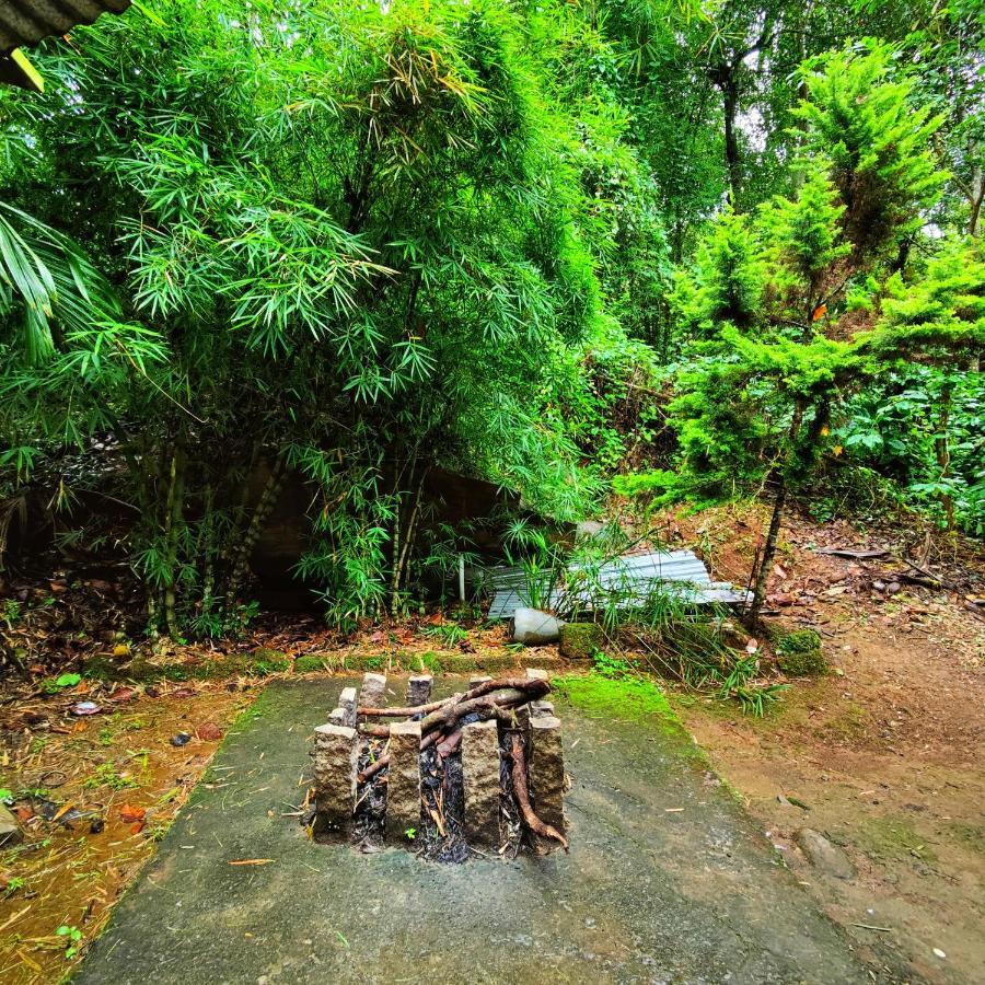 הוילה Vythiri Wood House וואיאנאד מראה חיצוני תמונה
