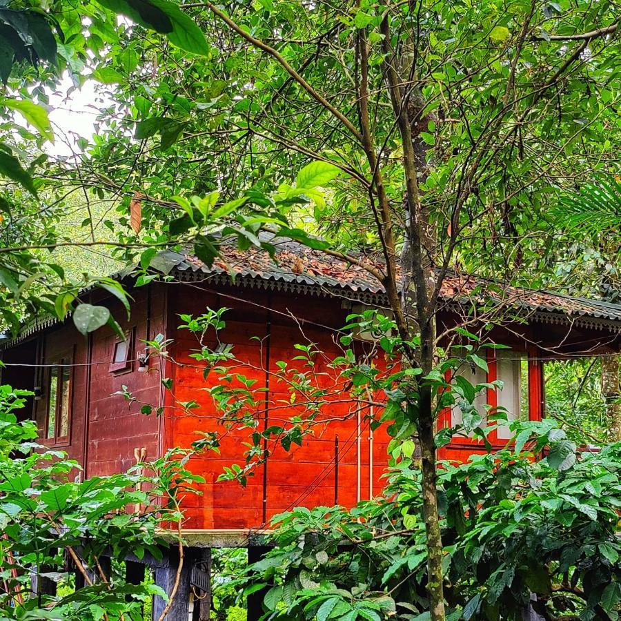 הוילה Vythiri Wood House וואיאנאד מראה חיצוני תמונה