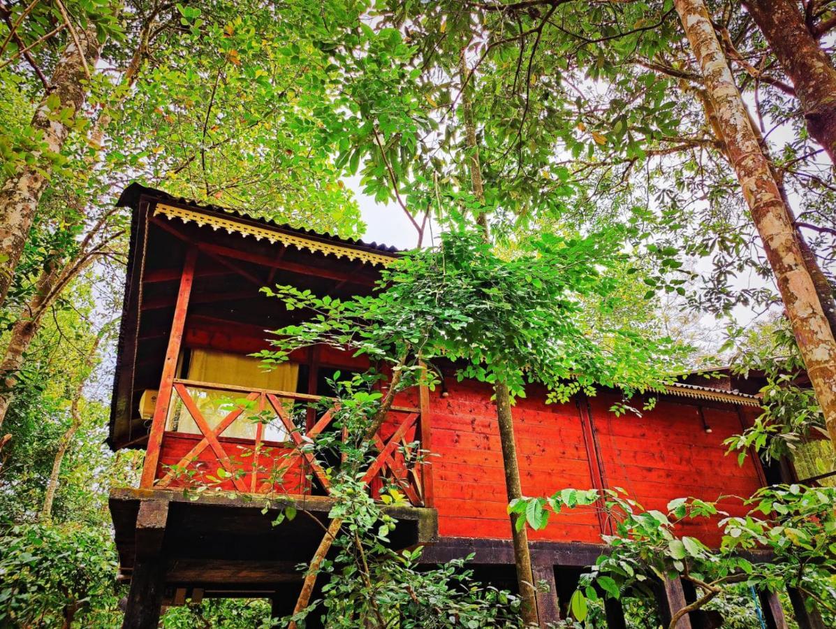 הוילה Vythiri Wood House וואיאנאד מראה חיצוני תמונה