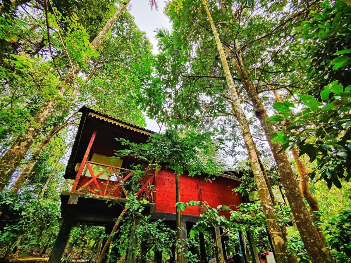 הוילה Vythiri Wood House וואיאנאד מראה חיצוני תמונה